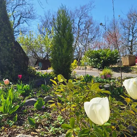Les Sentiers Du - Domaine De La Gaia Sorèze