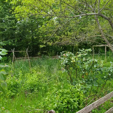 Les Sentiers Du - Domaine De La Gaia 3* Sorèze